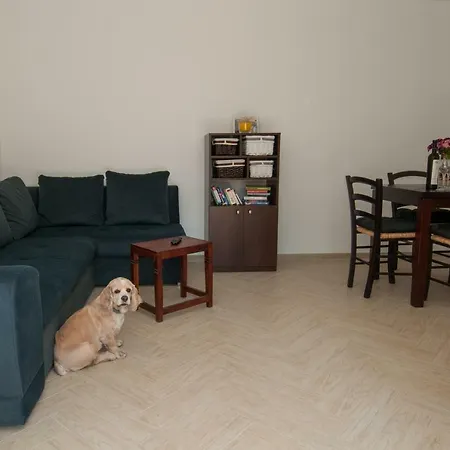 Apartment Tasha'S Home Opatija Exterior photo